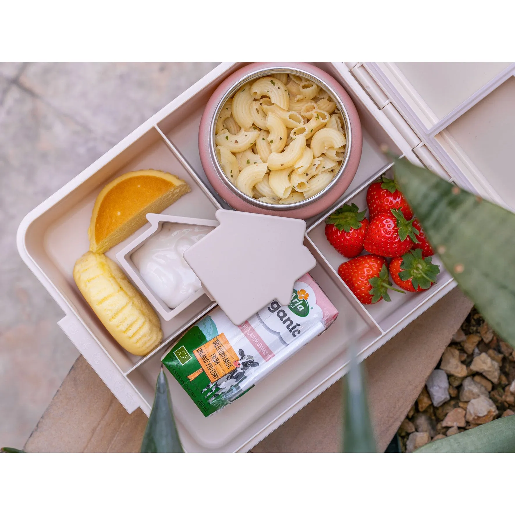 Citron Grand Lunchbox with Insulated Food Jar - Ballerina