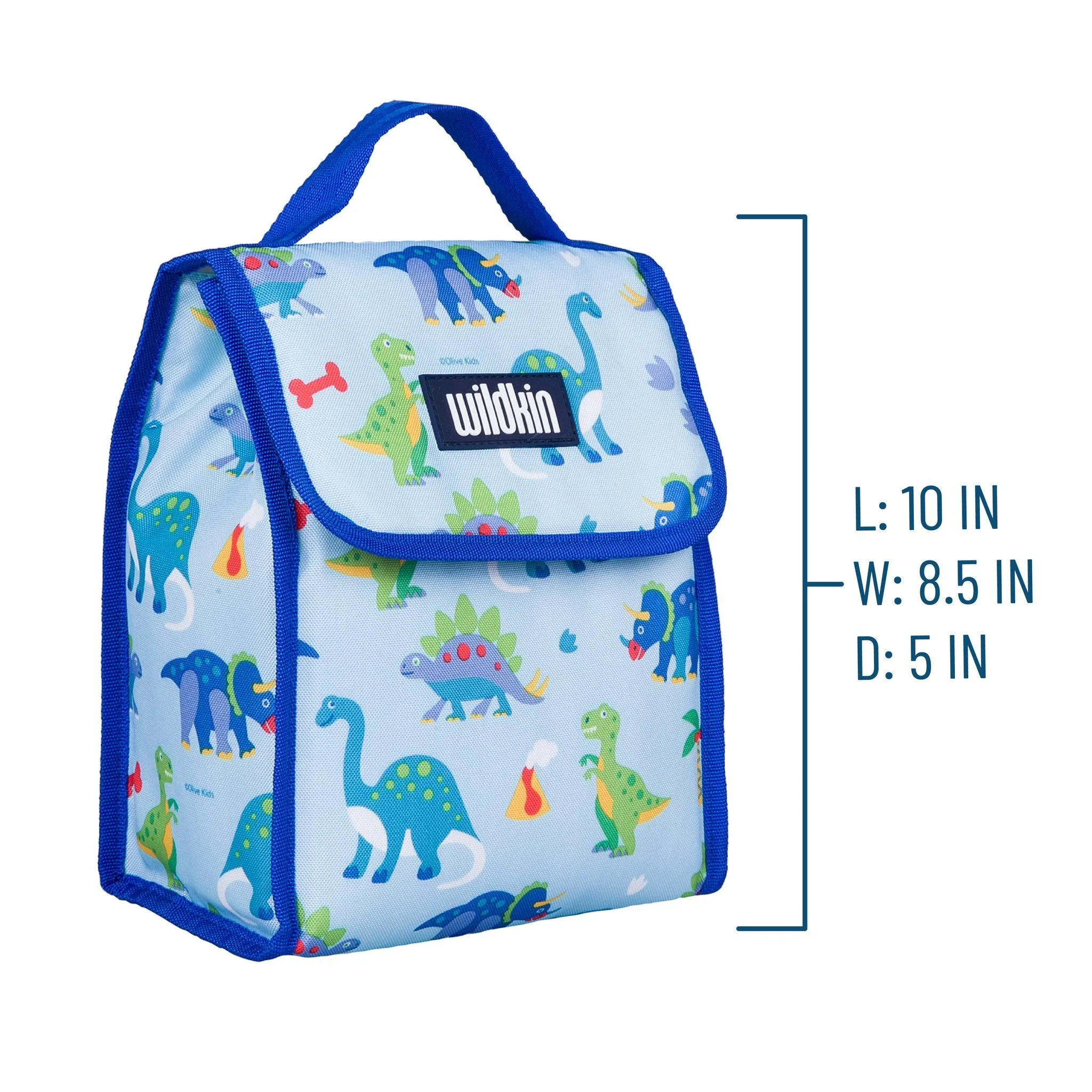 Dinosaur Land Lunch Bag