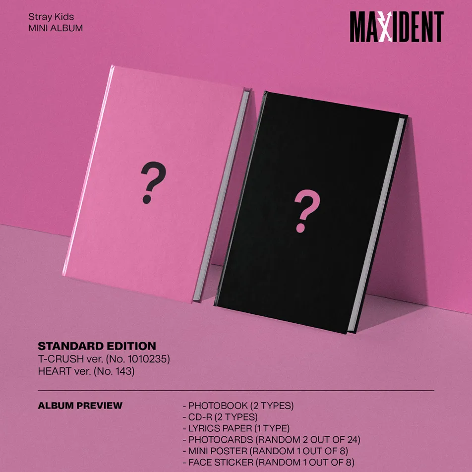 [Stray Kids] MAXIDENT