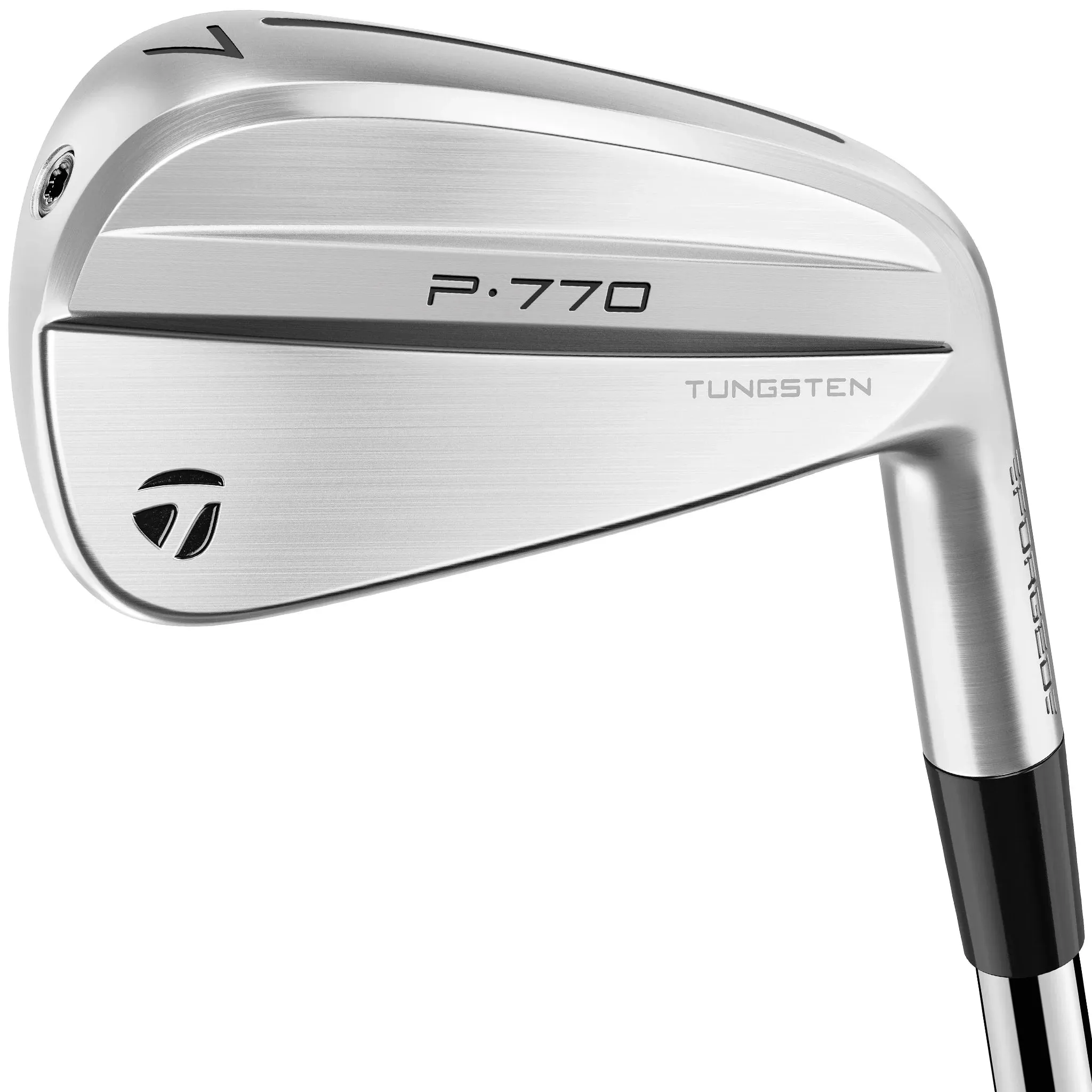 TaylorMade P770 24 Irons Custom